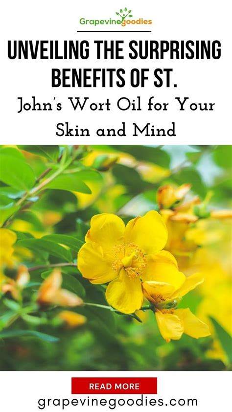 Unveiling The Surprising Benefits Of St Johns Wort Oil For Your Skin