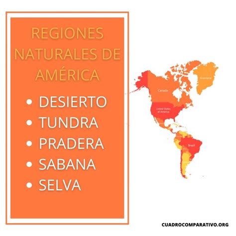 Cuadros Sinópticos De Las Regiones Naturales De América Cuadro