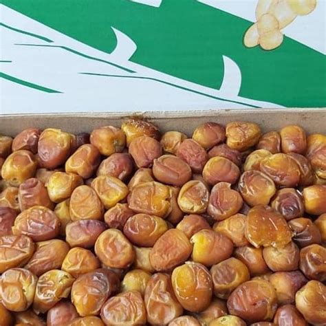 Jual Kurma Sukari Al Qosim 3 Kg Basah Raja Kurma Sukari Shopee Indonesia