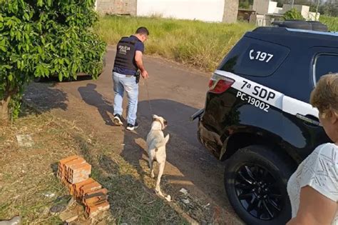 Polícia Civil de Umuarama retira cachorro vítima de maus tratos de seu