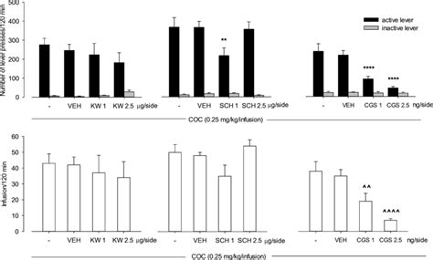 Intra Nac Effects Of A2a Receptor Antagonists Kw 6002 Kw Download Scientific Diagram