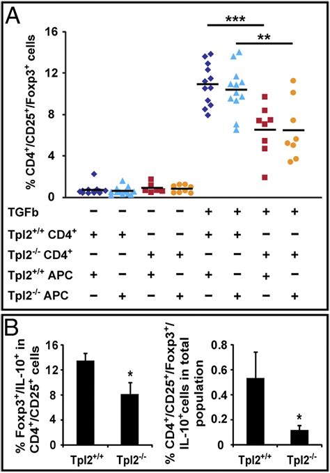 Tpl2 Ablation Promotes Intestinal Inflammation And Tumorigenesis In