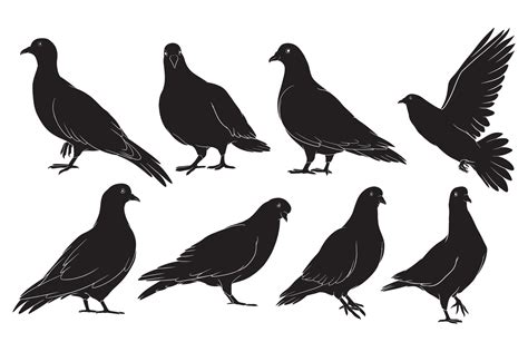 hand drawn silhouette of pigeon 6876609 Vector Art at Vecteezy