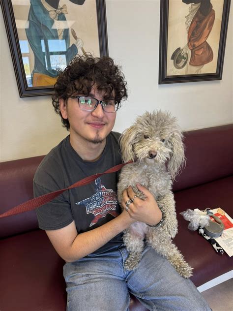 Californian Rescuer Came Up With Clever Way To Rescue Pup Hiding