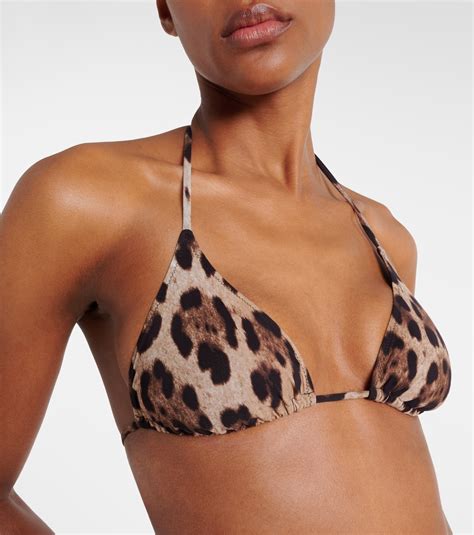 Leopard Printed Bikini Top In Brown Dolce Gabbana Mytheresa