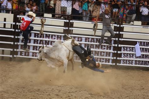 Rodeo Returns To Masbate After 3 Years The Manila Times