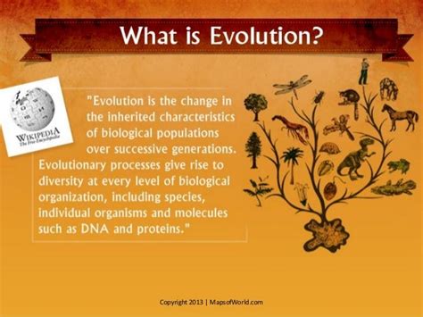 Is The Theory Of Evolution True? - Facts & Infographic