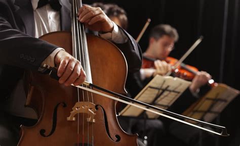 Cello Lernen Cellounterricht An Einer Musikschule Musikschule Info