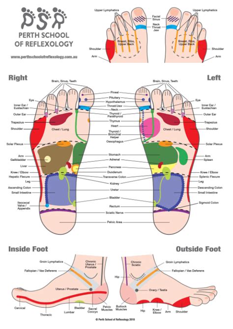 Reflexology Charts - Perth School of Reflexology