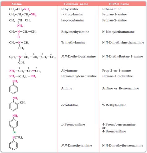 PDF naming amines and amides worksheet with answers PDF Télécharger