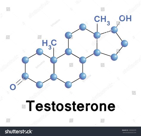 Testosterone Molecule Structure Medical Vector Illustration 199585979 Shutterstock