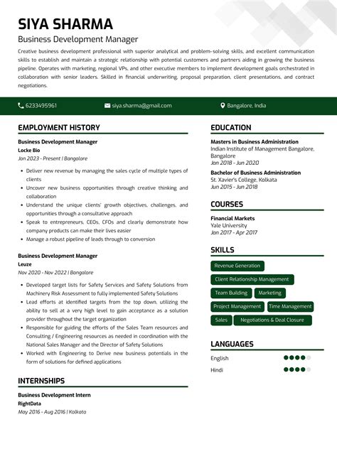 Sample Resume Of Business Development Manager With Template And Writing