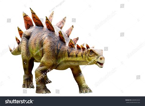 3,387 Stegosaurus Stock Photos, Images & Photography | Shutterstock