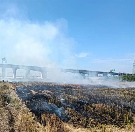 守护蓝天净土 鄞州区开展露天焚烧专项执法“清新”行动凤凰网宁波凤凰网