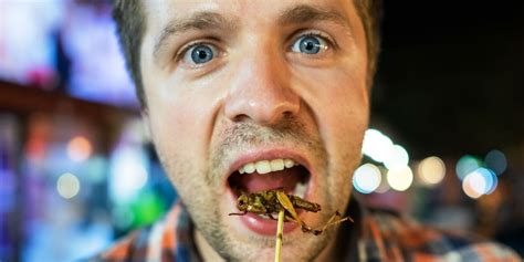 Why You Should Eat Insects Business Insider