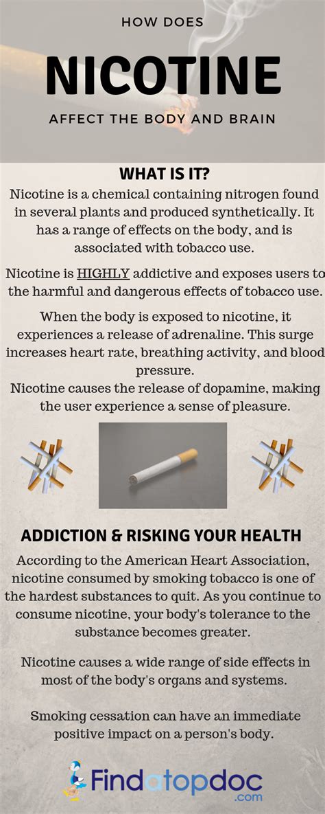 How Does Nicotine Affect The Body And Brain