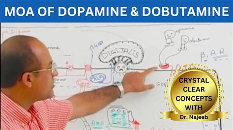 Dopamine Dobutamine Moa Pharmacology Youtube