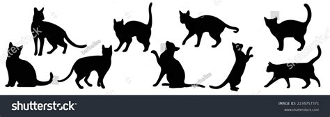 Black Cat Silhouette Isolated White Background Stock Illustration ...