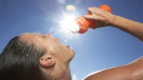 Deshidratación Cinco Consejos Para Evitar Golpes De Calor Diario La Capital De Mar Del Plata