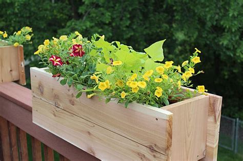 Ana White Deck Railing Planter Featuring Bob Vila Diy Projects