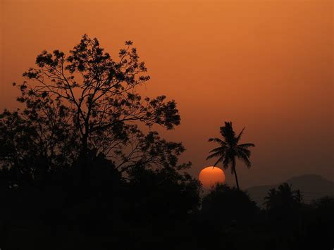 Sun Sunset Trees Silhouettes Dark HD Wallpaper Peakpx