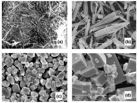 Scanning Electron Microscopy Sem Images Of Metal Oxide Particles