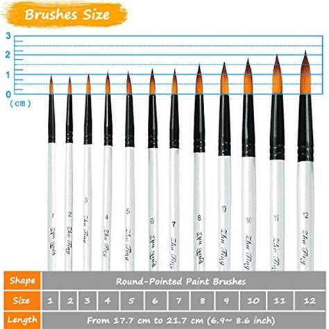 the brushes size chart for different types of paintbrushes and how to ...