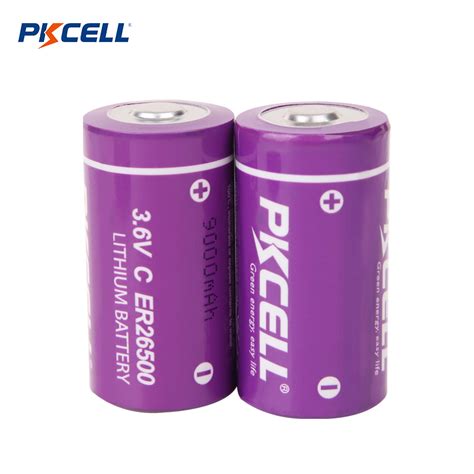 Li Socl2 Battery Supplier PKCELL Battery