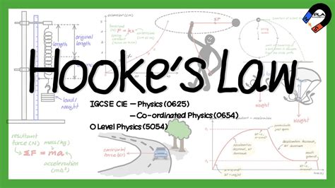 Hookes Law For Igcse Gcse Gce O Level Physics Youtube