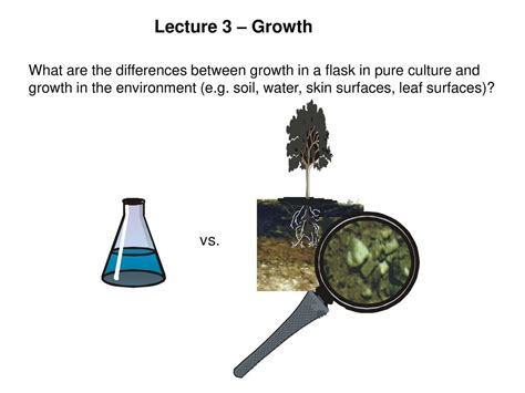 Chapter Objectives The Fastest Known Doubling Time For A Bacterium