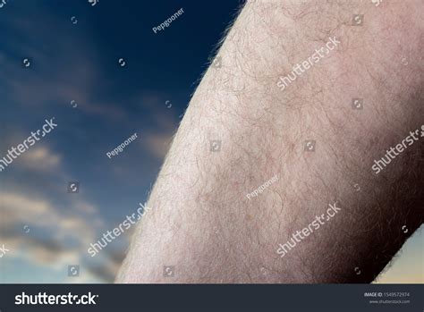Section Mans Naked Thigh Upper Leg Stock Photo Edit Now 1549572974
