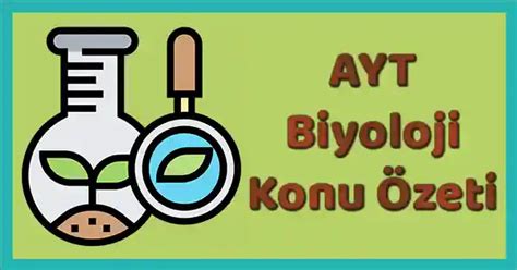 AYT Biyoloji İnsan Fizyolojisi Konu Özeti pdf Mbsunu