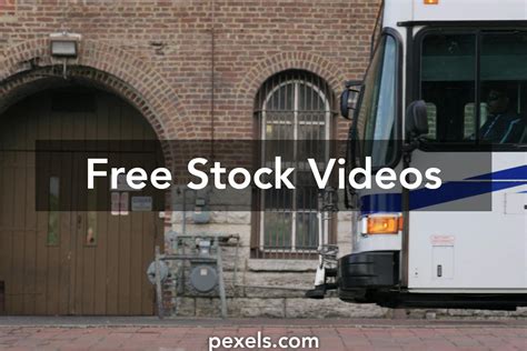 bus company       stock video footage bus