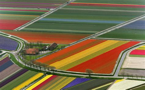 Xs Wallpapers Hd Netherlands Flower Fields