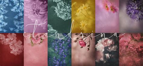 Floral Textures for Photoshop Floral Backdrop Overlays With | Etsy