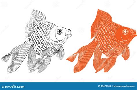 Goldfish Drawing Vector Illustration Cartoondealer