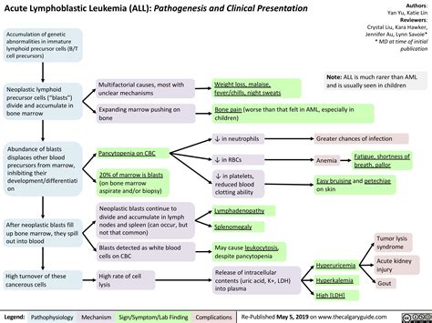 Acute Lymphoblastic Leukemia Calgary Guide