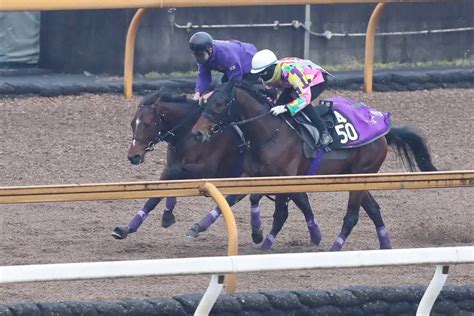 【弥生賞】2歳王者ドウデュース 無敗の4連勝へcwでグイグイ加速！いざ堂々クラシックへ スポニチ競馬web