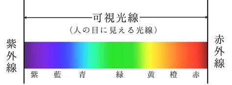 虹の色の順番は？世界では七色ではない？順番の理由や覚え方を解説 なるほどぽけっと