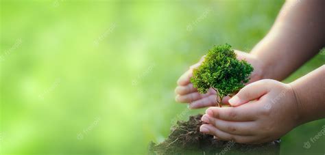 Premium Photo Doing Csr By Planting Trees Csr Concept And Business Planting Saplings Of Trees