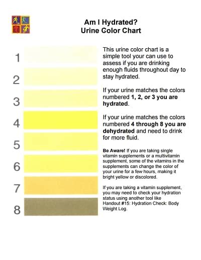 Urine Color Meaning Adult Pediatric Urology Urine Color