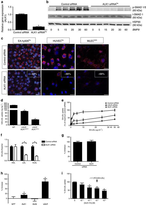 Genome Wide Rnai Screen Reveals Alk Mediates Ldl Uptake And