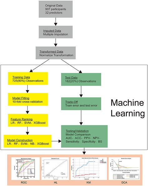 Frontiers A Machine Learning Based Prediction Model For