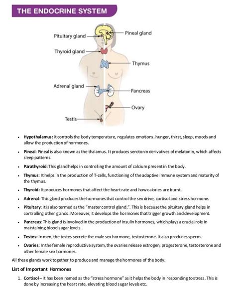 Harmoes PDF