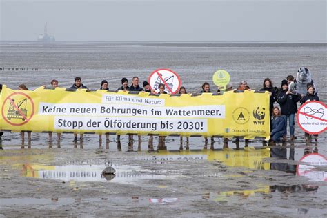 Umweltverb Nde Fordern Besseren Schutz Schutzstation Wattenmeer