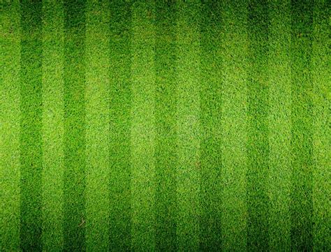 Soccer Field Grass Texture