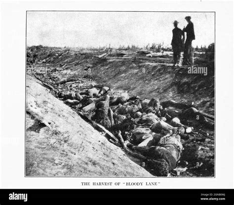 Bloody Lane In The Sunken Road Was Delivered The Most Telling Blow