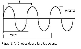 ECOGRAFIA ANAL Y RECTAL PRACTICA