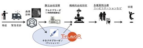 急性期脳梗塞に対する、新規血栓溶解薬導入への臨床試験継続へご支援を（国立循環器病研究センター 脳卒中集中治療科 特任部長 井上 学 2023