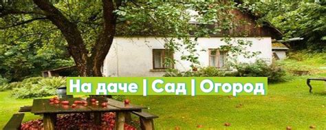 На даче | Сад | Огород | Советы дачницам Заявление в Роскомнадзор ...